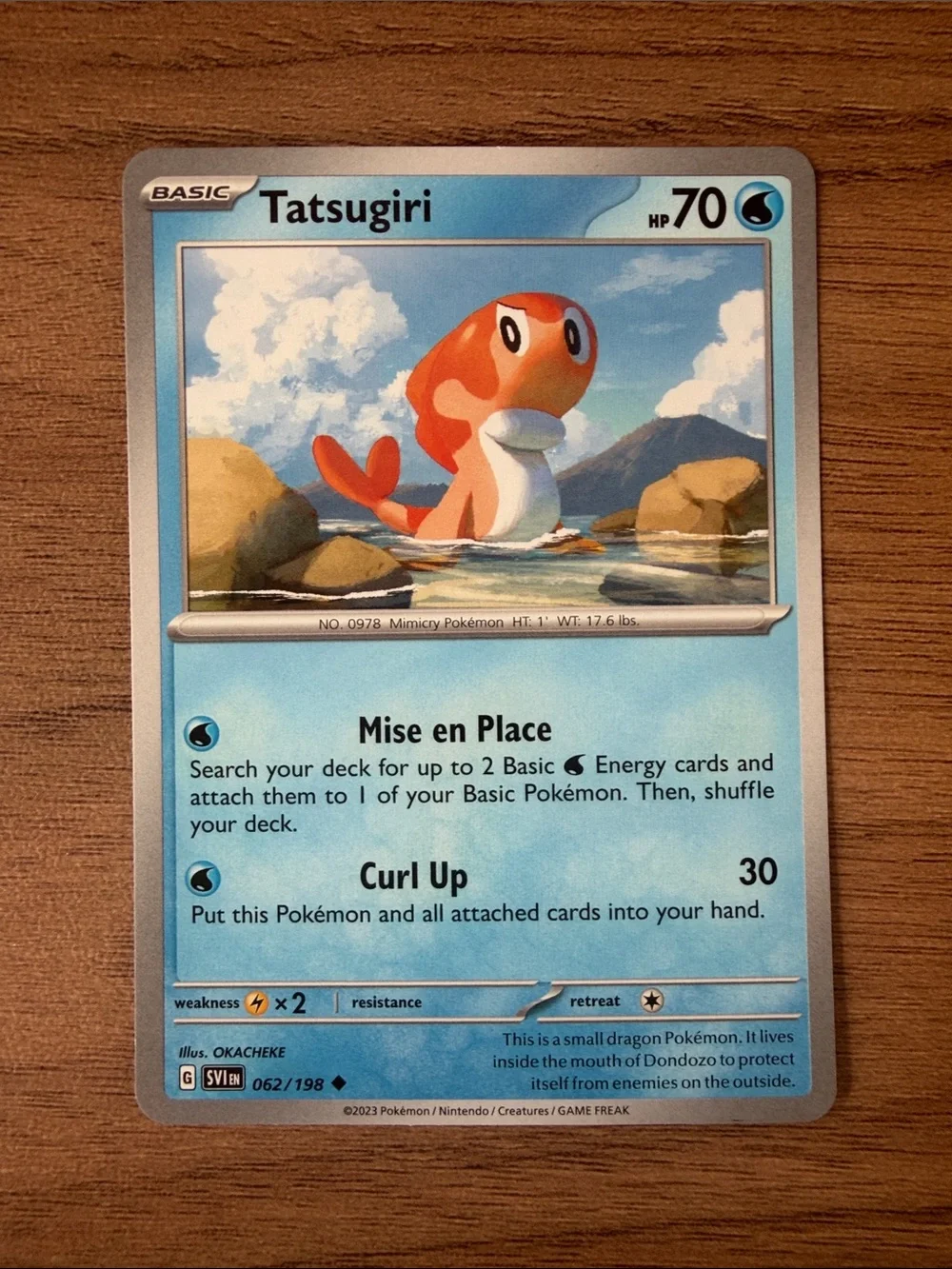 🌊 Water Beach Day Pokémon Card Lot | Wailmer Sobble Tatsugiri Poliwrath ✨5/$25✨